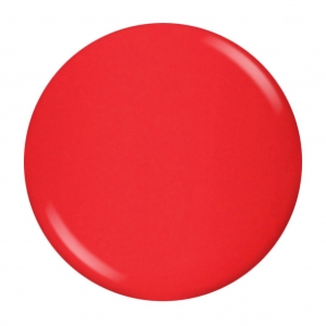 786 social butterfly